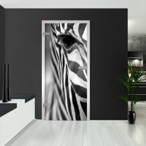 Ganzglastüren - Zebra 